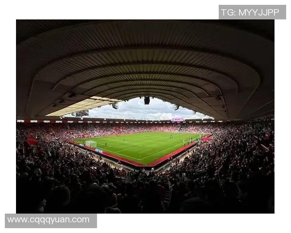 足球海明威：在绿茵场上书写人生的传奇与激情